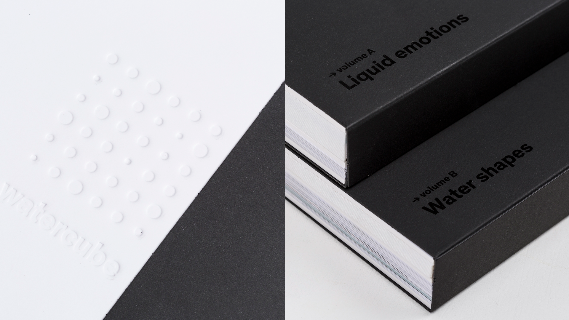 watercube book details