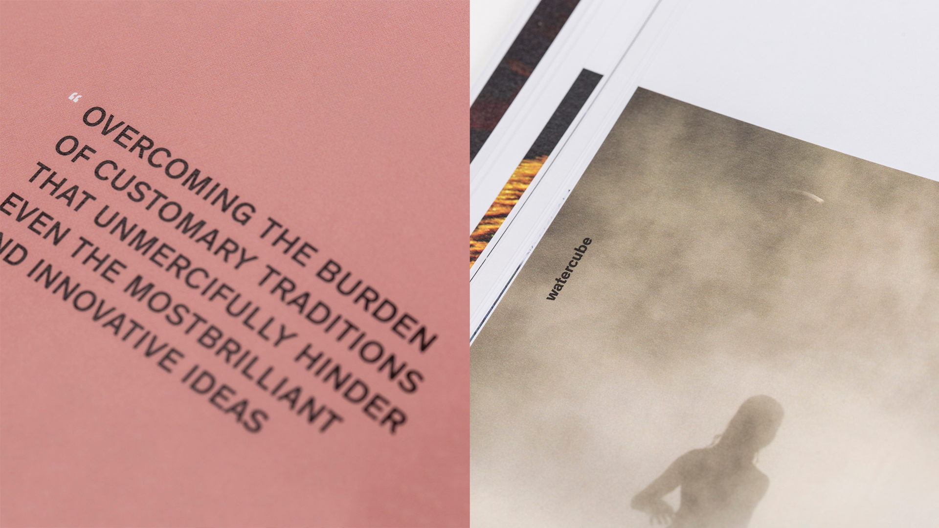 watercube book details